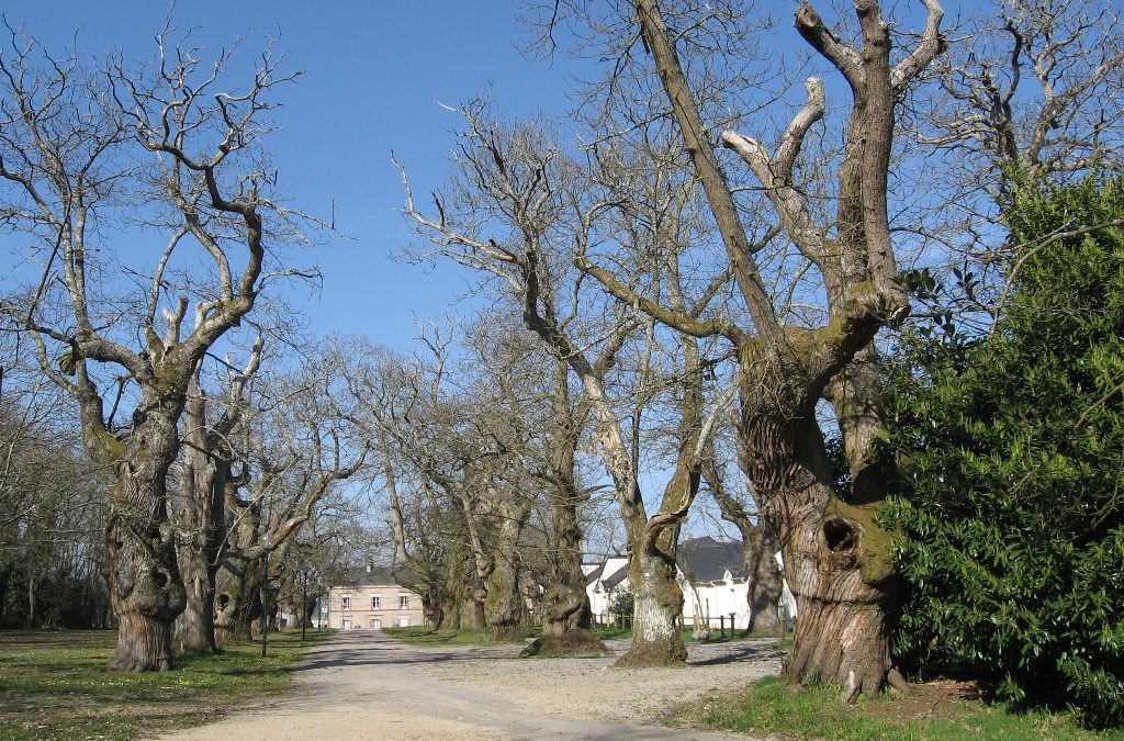 Parc de la garenne