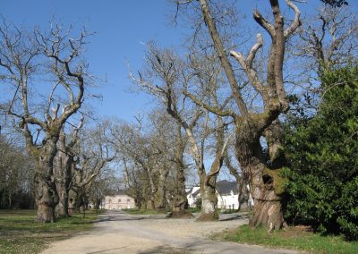 Parc de la garenne