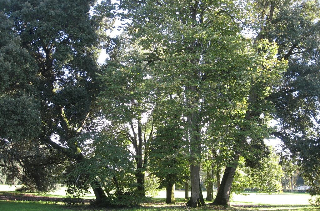 Parc du Port Mulon a Nort sur Erdre