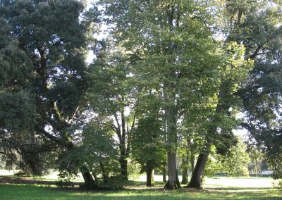 Parc du Port Mulon a Nort sur Erdre