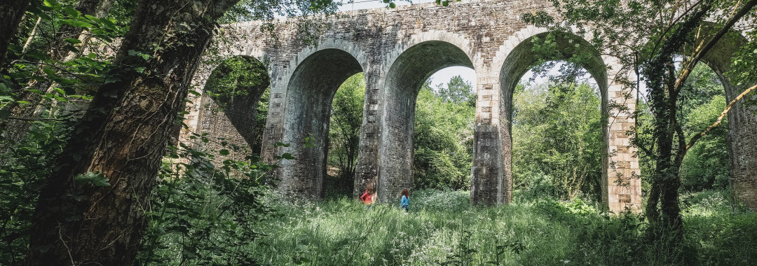 Destination Erdre Canal Foret