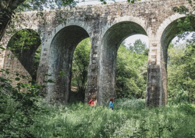 Destination Erdre Canal Foret